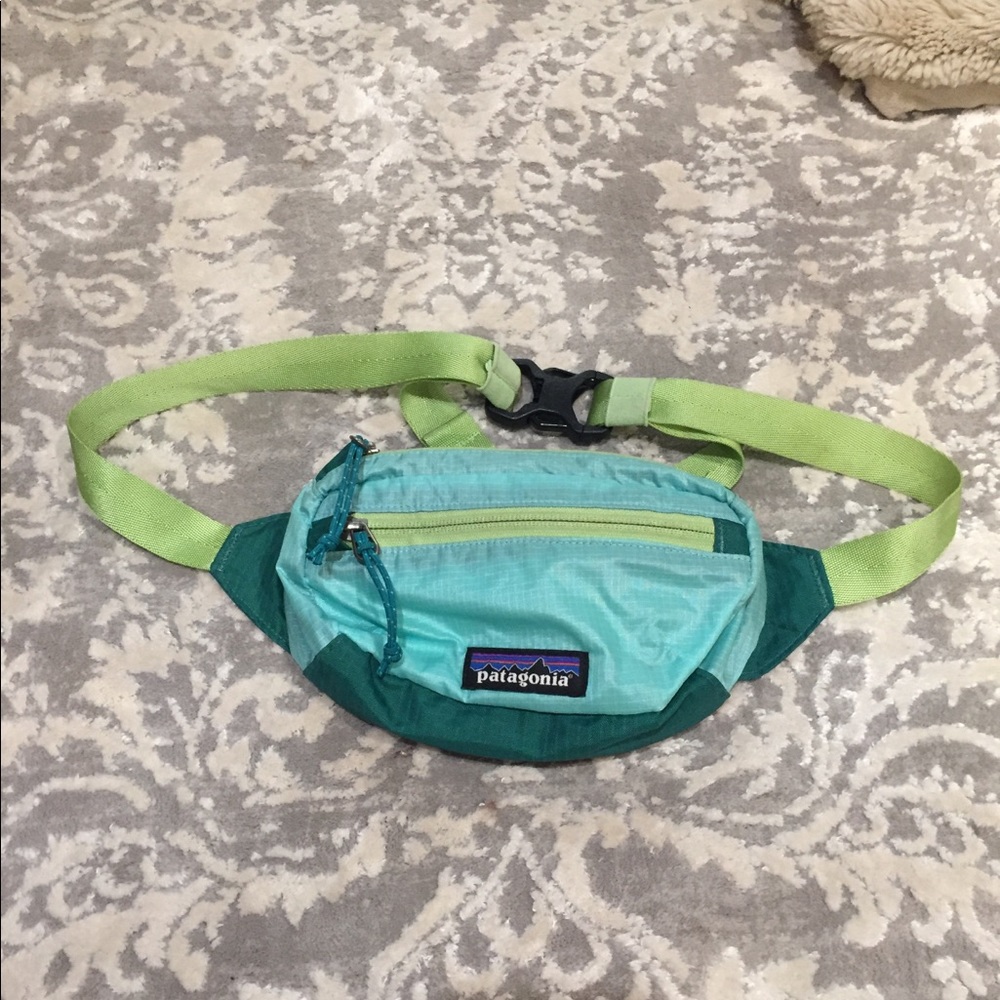 Patagonia Fanny Pack